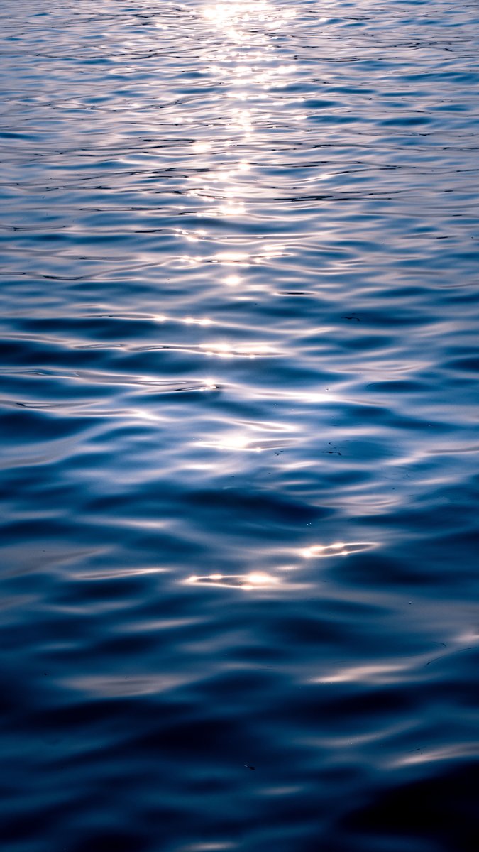 Sunlight reflecting on calm water